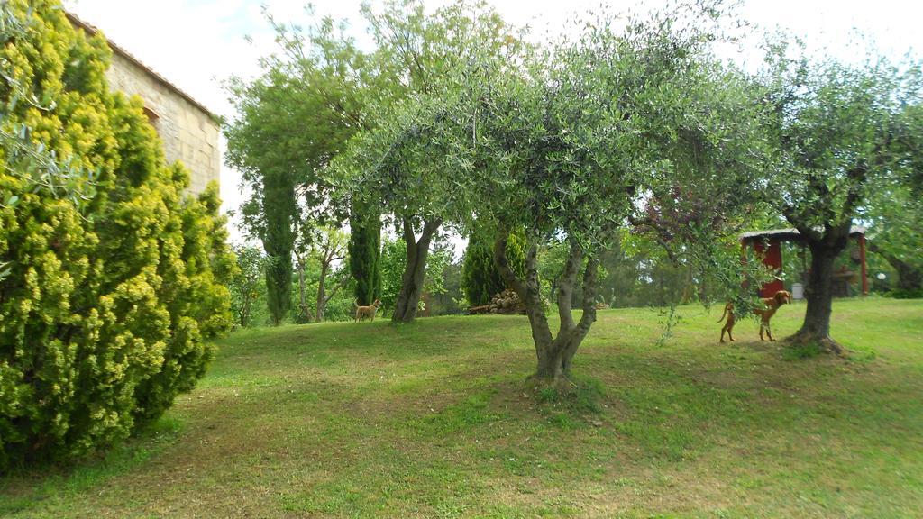 San Martin Del Colle Holiday Home Casciana Terme Room photo