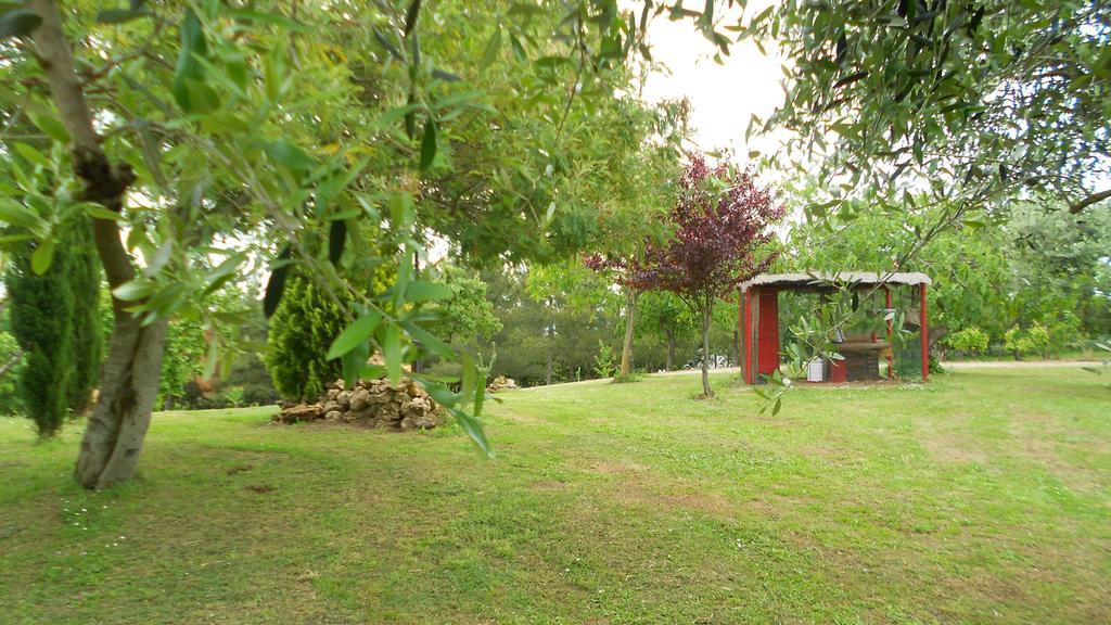 San Martin Del Colle Holiday Home Casciana Terme Room photo